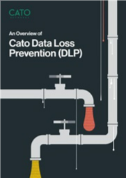 AnOverviewofCatoDataLossPreventionDLP.png
