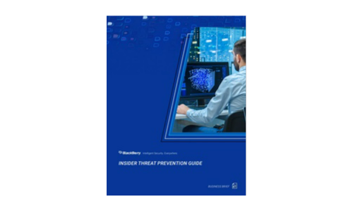 Insider Threat Prevention Guide